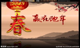 2013 赢在蛇年 春字版海报