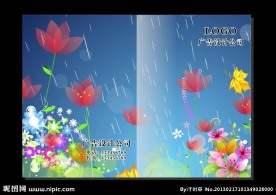 雨中鲜花朵 画册封面