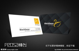 精美名片模版