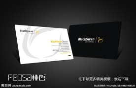 精美名片模版