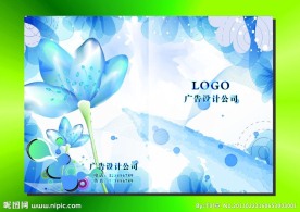 冰雪花 蓝色背景封面