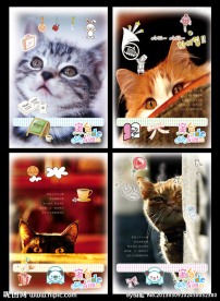 本本设计 本本 新版本本