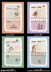 鸟的世界 中性本本