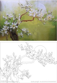 玉兰花 玉兰月亮