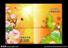 阳光沙难鲜花 封面