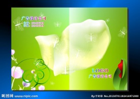 两片绿叶 画册封面