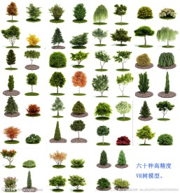 室外树全套模型
