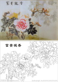 牡丹花 富贵凝香