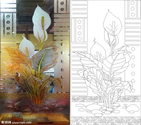 马蹄莲 百合 线条图