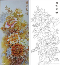 牡丹花 国色天香