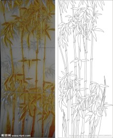 竹子 金竹 竹报平安