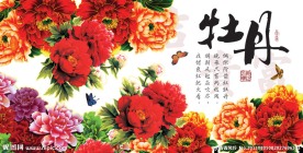牡丹图
