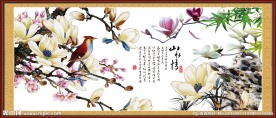 玉兰花