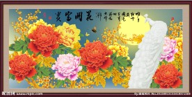 花开富贵