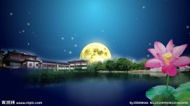荷塘月色中秋视频素材