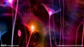 金光动态荷叶视频素材