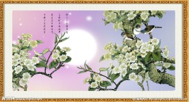 花开富贵