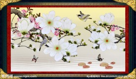 玉兰花