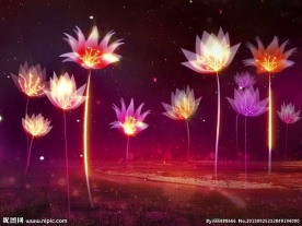 梦幻莲花高清视频素材