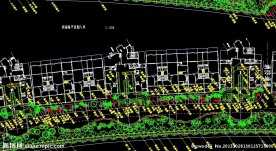 滨海路绿化种植图