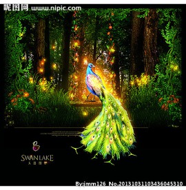 华丽孔雀装饰画