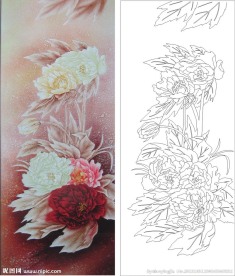 牡丹花 月季花 花