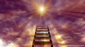 云梯通向光明阳光视频