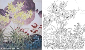 兰花 石头 水 山