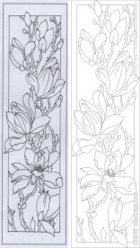 玉兰花 兰花 花