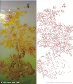 牡丹花 蝴蝶 树