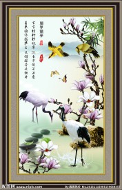 花开富贵吉祥图