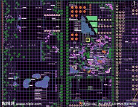 区域铺地总平面布置