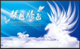 梦想腾飞