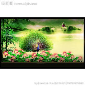 绿孔雀装饰画
