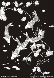 年年有余 年年有鱼