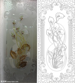 马蹄莲 欧式花 线条