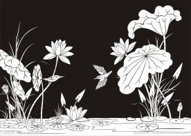 荷花鸟 荷花 莲花