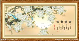 花开富贵 富贵荣华