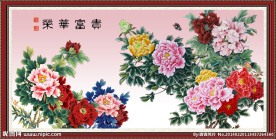 花开富贵