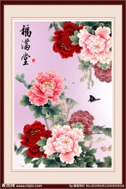 牡丹花