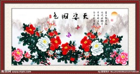 花开富贵 国色天香