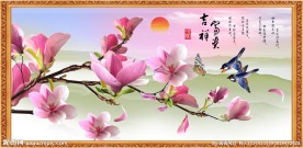 玉兰花