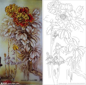 牡丹花 金牡丹 树