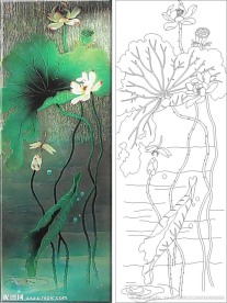 荷花 荷韵 莲花