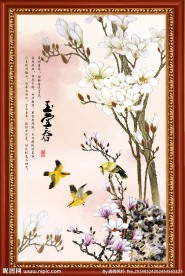 玉兰花