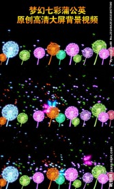 蒲公英动态背景视频