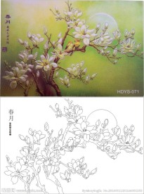 玉兰花 月亮 春月