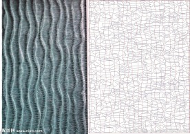 欧式花 线条 石头纹