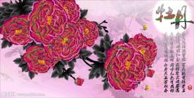 花开富贵钻石画