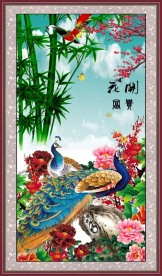 孔雀牡丹